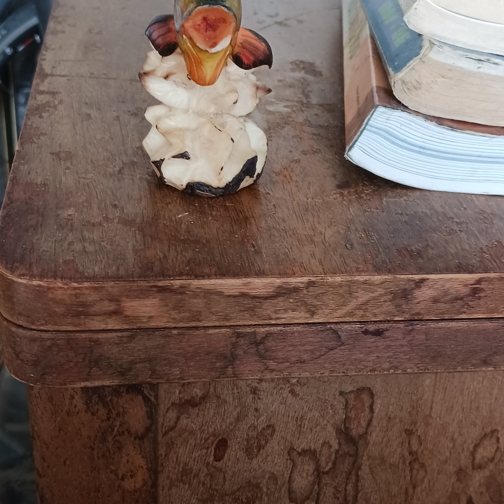 Vegetable ivory,tagua, fish,from.panama